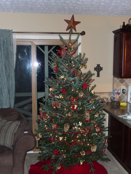 Our Tree 1.JPG